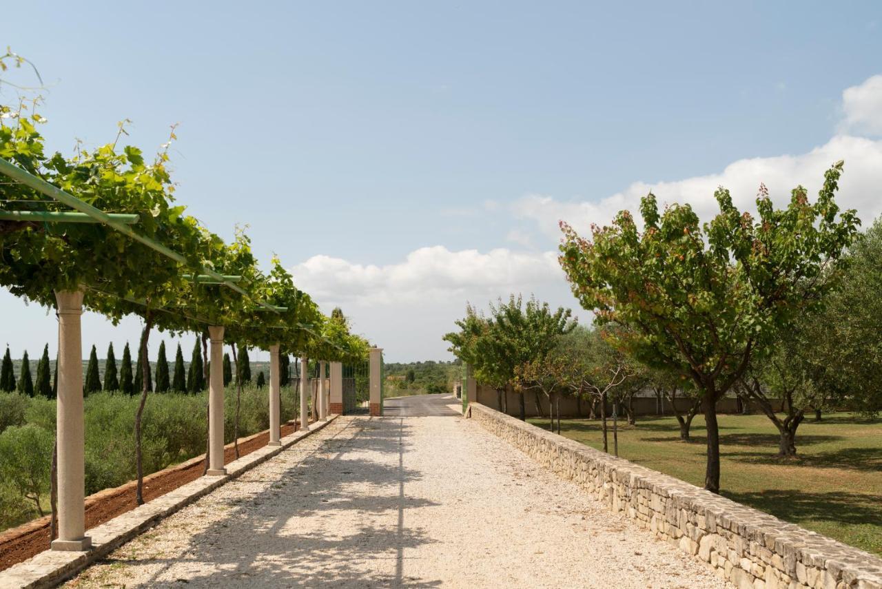 Villa Albina & Domenica ซาดาร์ ภายนอก รูปภาพ
